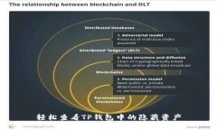 轻松查看TP钱包中的隐藏资