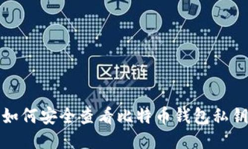 如何安全查看比特币钱包私钥