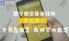 比特币硬件钱包恢复：找