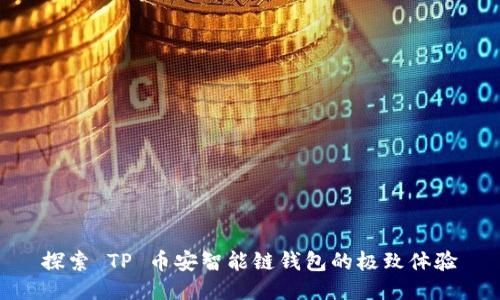 探索 TP 币安智能链钱包的极致体验