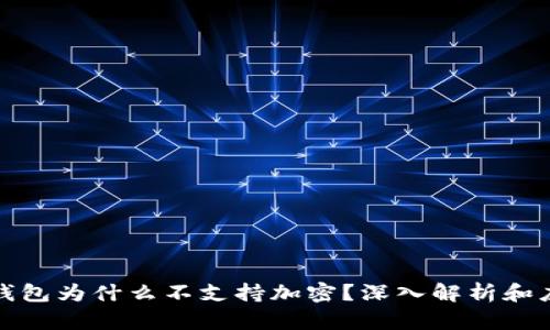 比特币钱包为什么不支持加密？深入解析和应对措施