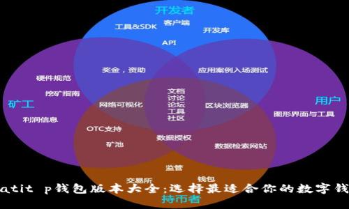 biatit p钱包版本大全：选择最适合你的数字钱包