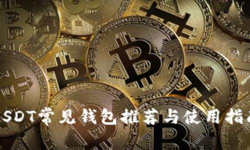 USDT常见钱包推荐与使用指南