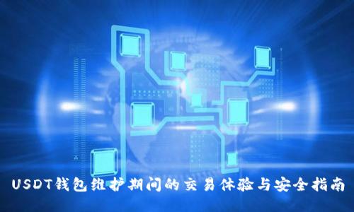 USDT钱包维护期间的交易体验与安全指南